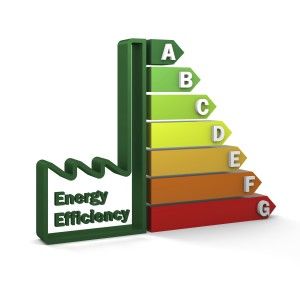 Energy efficiency survey